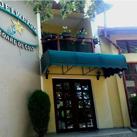Pension Edelweiss Luaran gambar