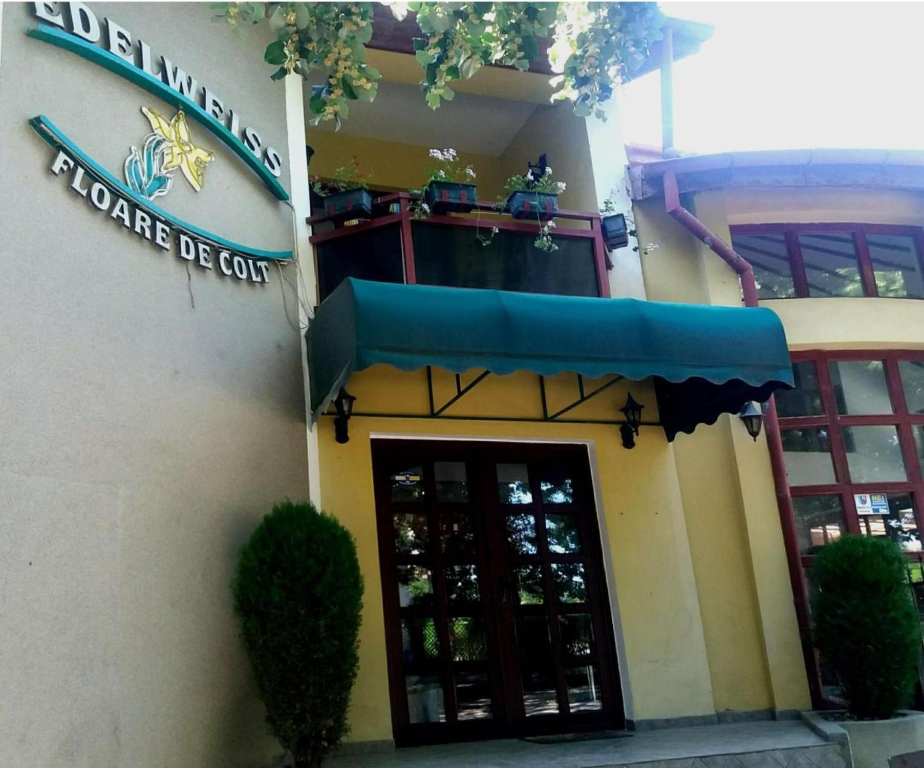 Pension Edelweiss Luaran gambar